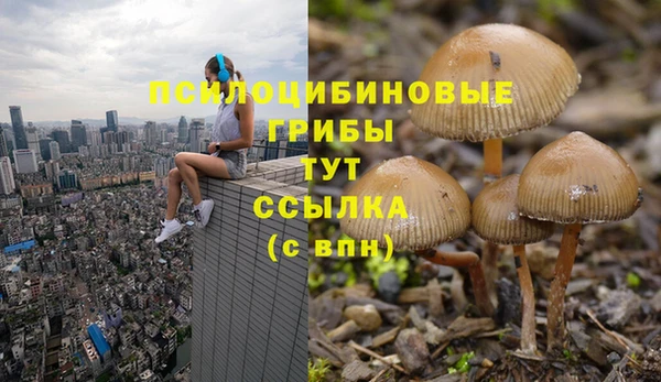 сатива Липки