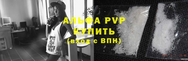 сатива Липки