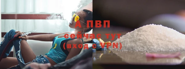 сатива Липки