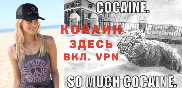 сатива Липки
