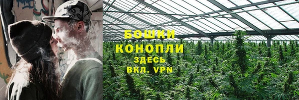 сатива Липки