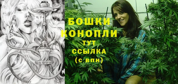 сатива Липки