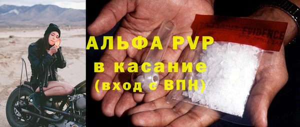 сатива Липки
